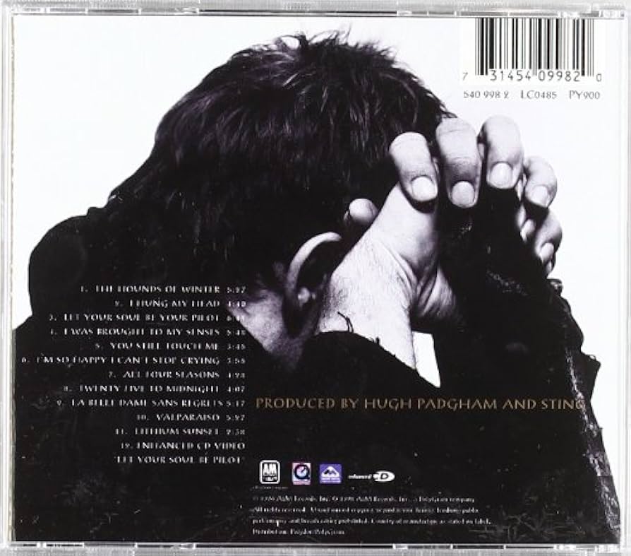 Mercury Falling［カセット］ Amazon.co.jp: MERCURY FALLING [12 inch Analog]: ミュージック